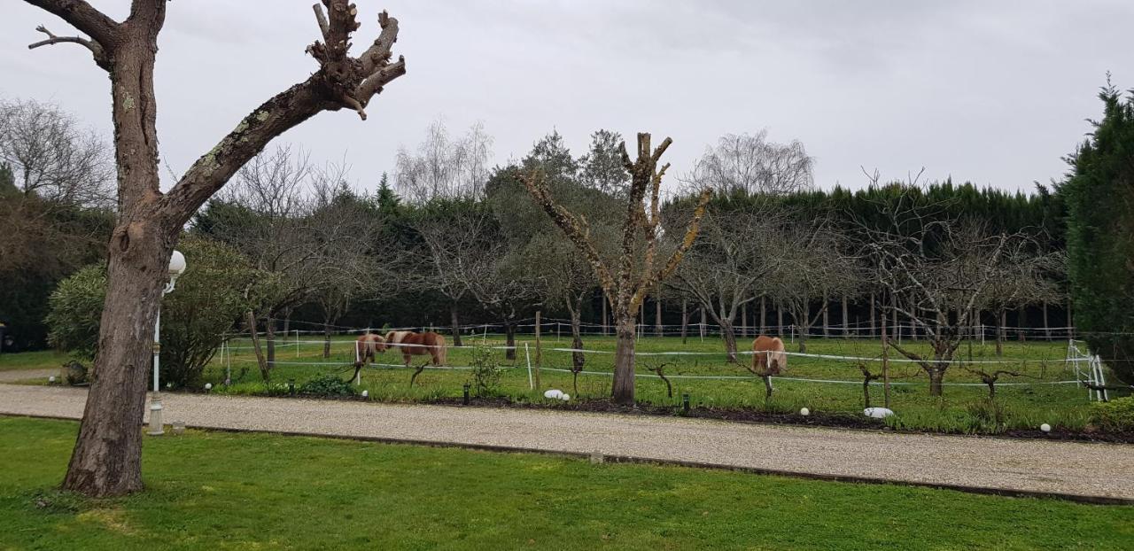 Le Cabassou Du Medoc Bégadan Buitenkant foto